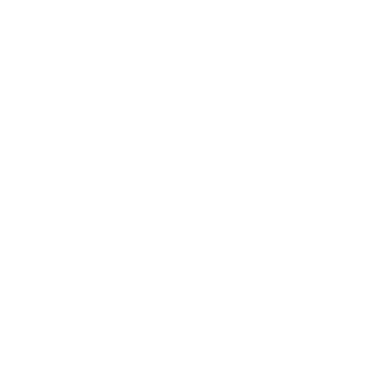 Passport Section