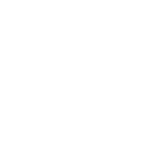 Voter ID Section